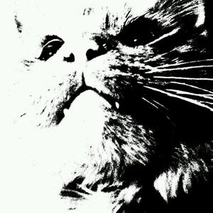 Meet your Posher, Ariel